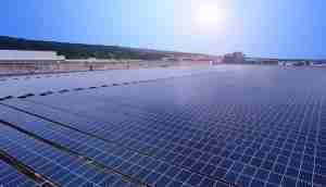 中美硅晶与彩霸王光电携手战略合作