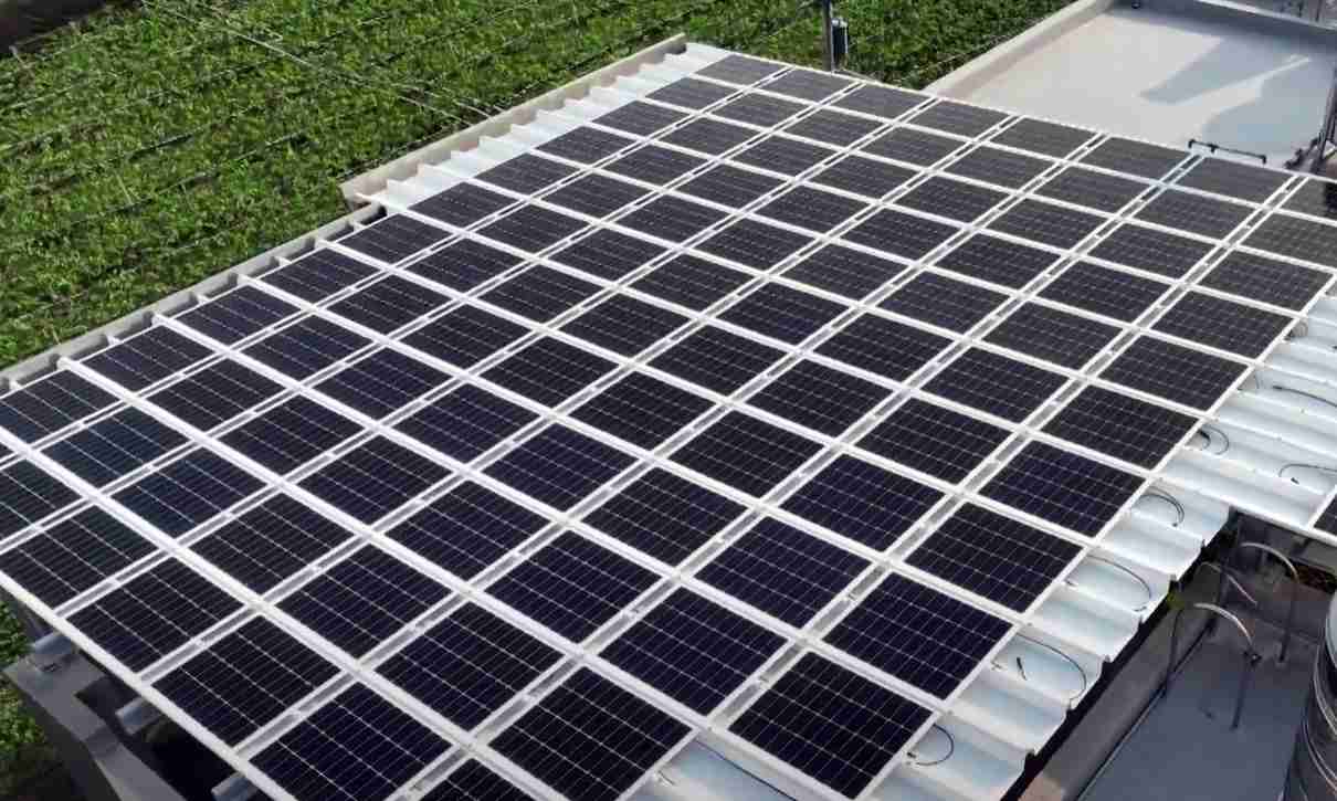 彩霸王SunSteel光电浪板升级双玻结构，，，，以提升机械负载强度及气候耐候度，，可广泛运用于多元场域