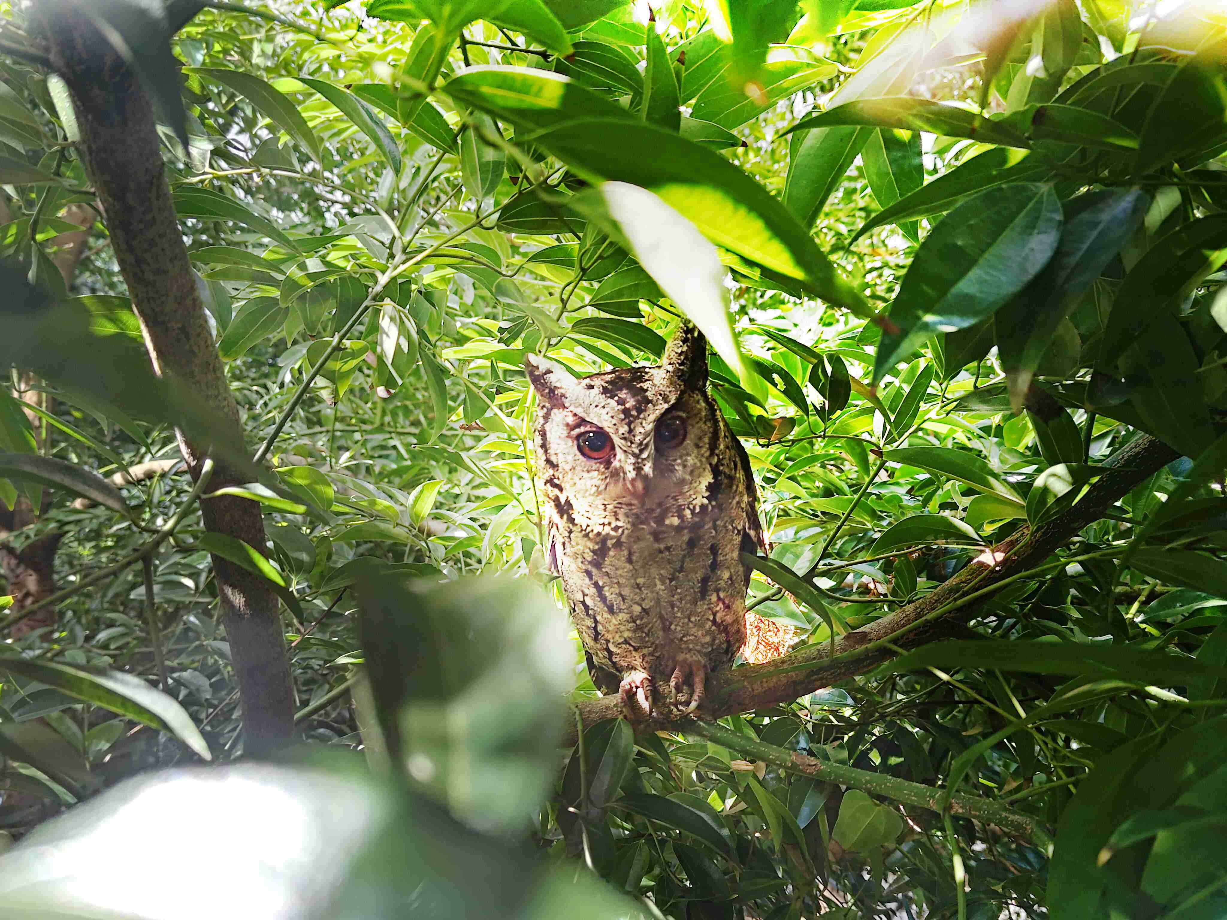 彩霸王致力提倡净零绿生活，，，16年以来在全球各厂区植树逾百万棵，，，，造就各厂区树木蔚然成林，，，犹如森林工厂，，，，成为许多生物的栖息地